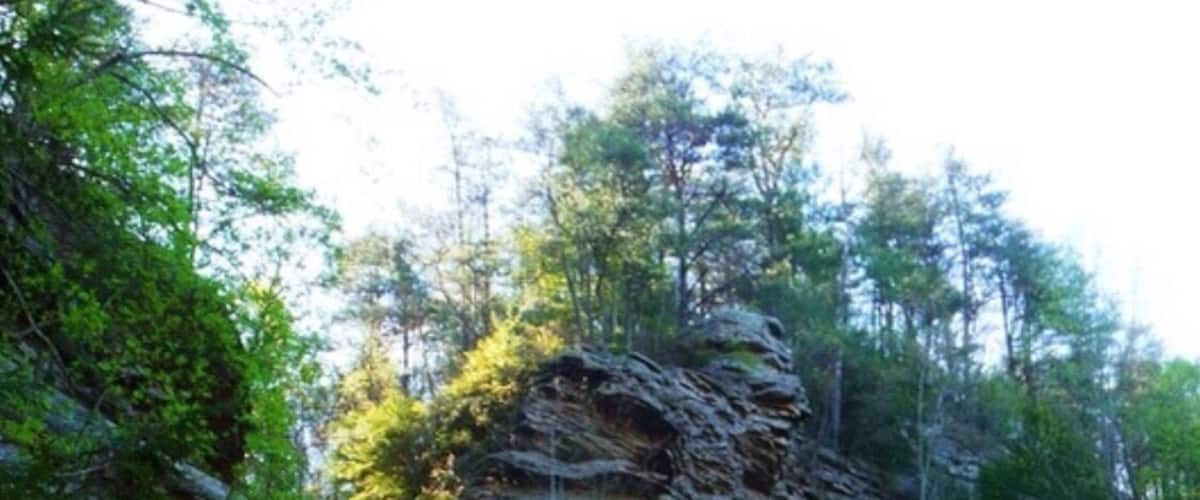 A waterfall cascading down a rocky cliff surrounded by dense forest.
