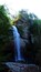 Uma cascata despenca por um penhasco rochoso, cercada por uma floresta densa.