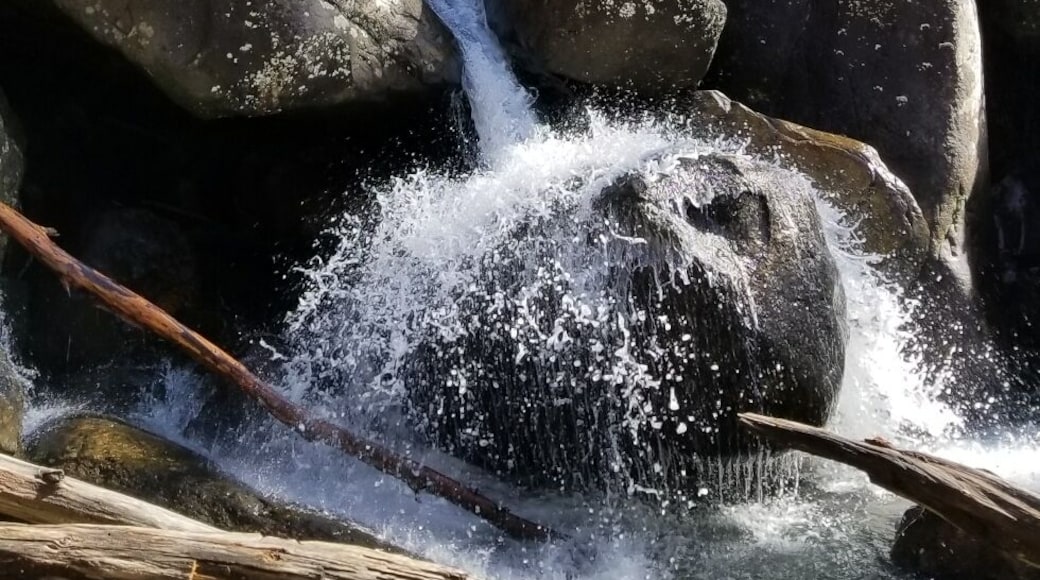 Beautiful Laurel Falls
#nature