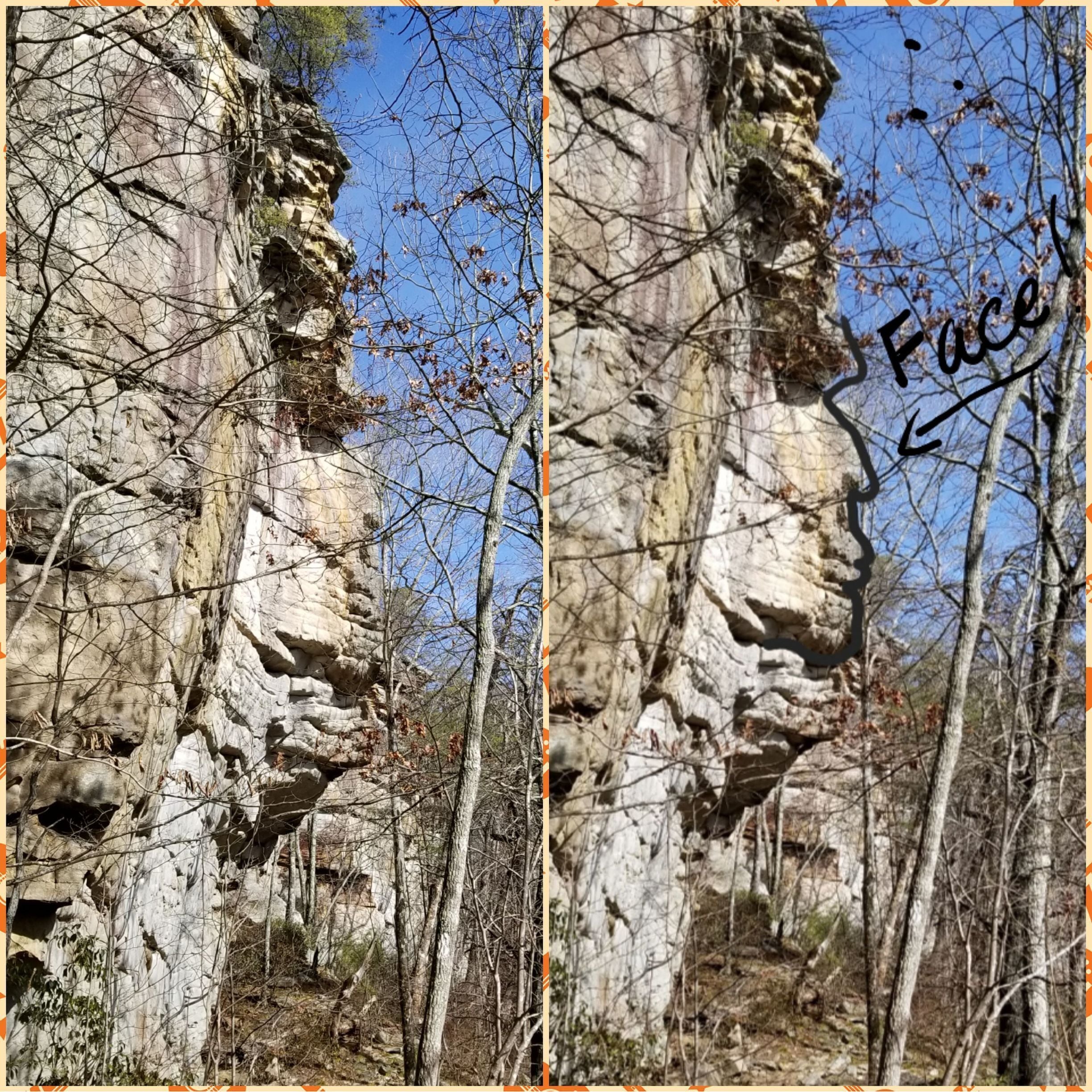 Some things you see on the trail can be pretty cool! I see a face, do you see it?
