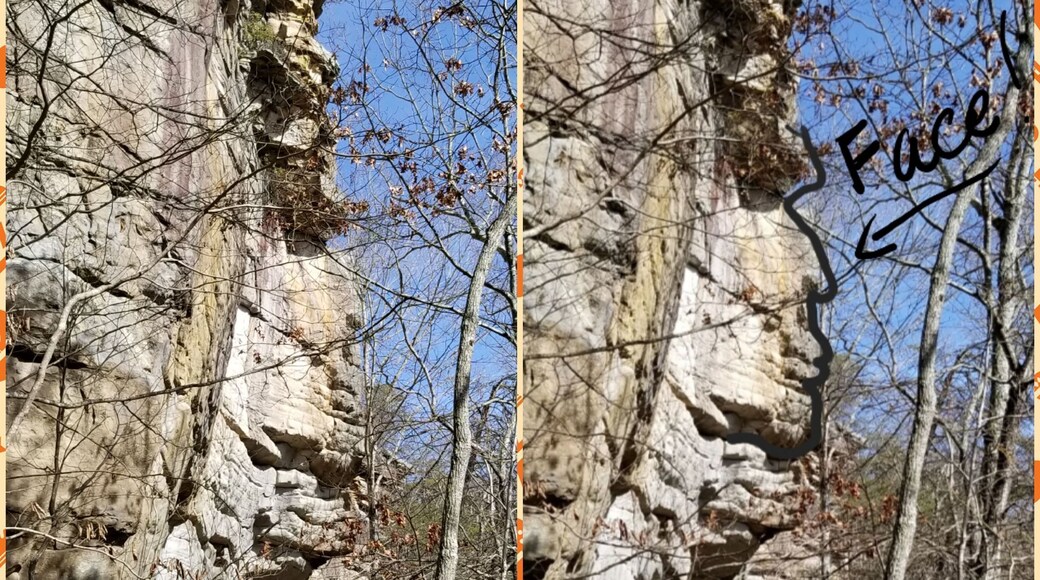 Some things you see on the trail can be pretty cool! I see a face, do you see it?