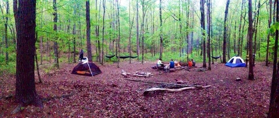 Great short hike to this wonderful campground. Laurel Falls and Snow Falls are both short hikes from here. 
