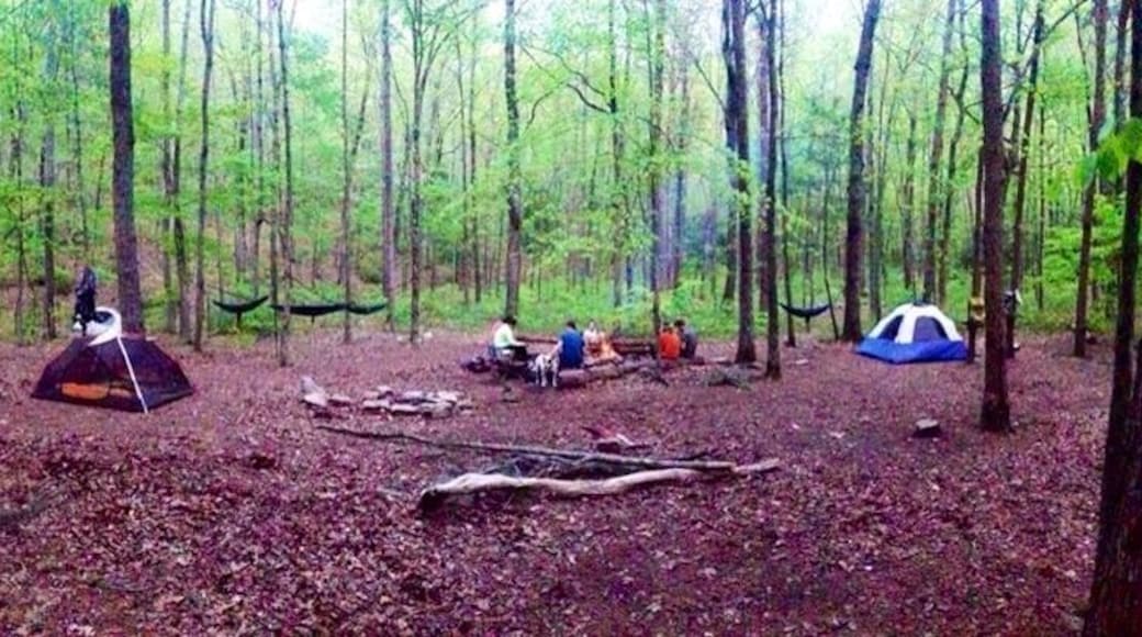 Great short hike to this wonderful campground. Laurel Falls and Snow Falls are both short hikes from here.