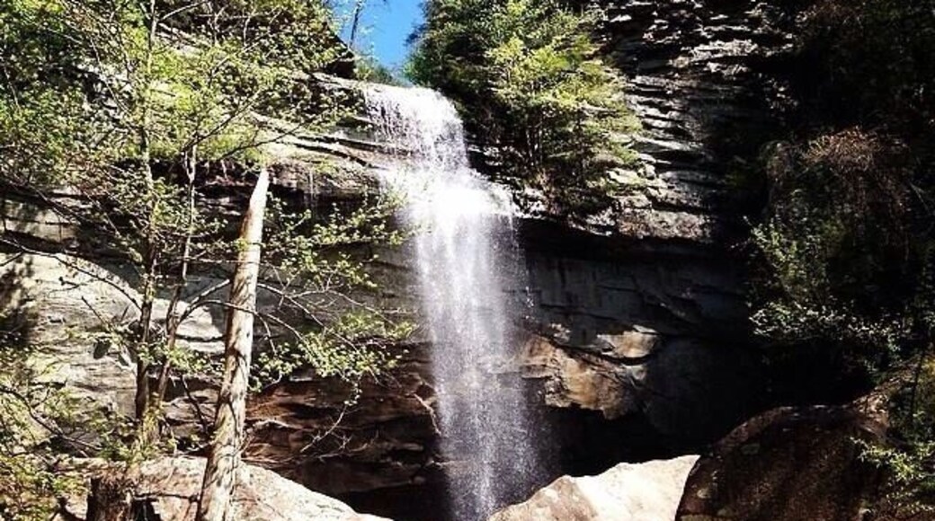 This is great place for an easy backpacking trip. It is a couple mile easy hike to the campground with hikes to two different waterfalls.