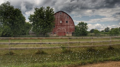 0199 - Davison Red (0199-BAR-072718-0131P)