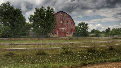 0199 - Davison Red (0199-BAR-072718-0131P)