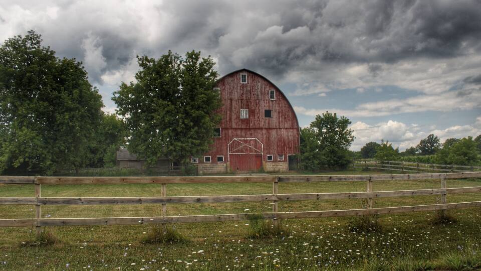 A red barn surrounded by a wooden fence, trees, and a field with white flowers.