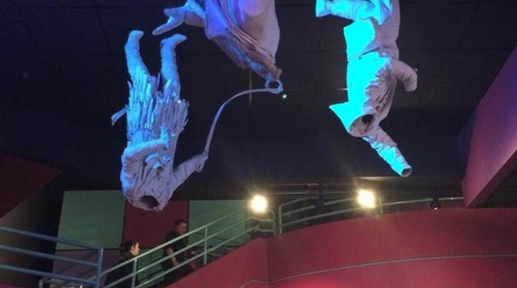 Visit the theatre lobby to see these whimsical/creepy figures hanging from the ceiling!