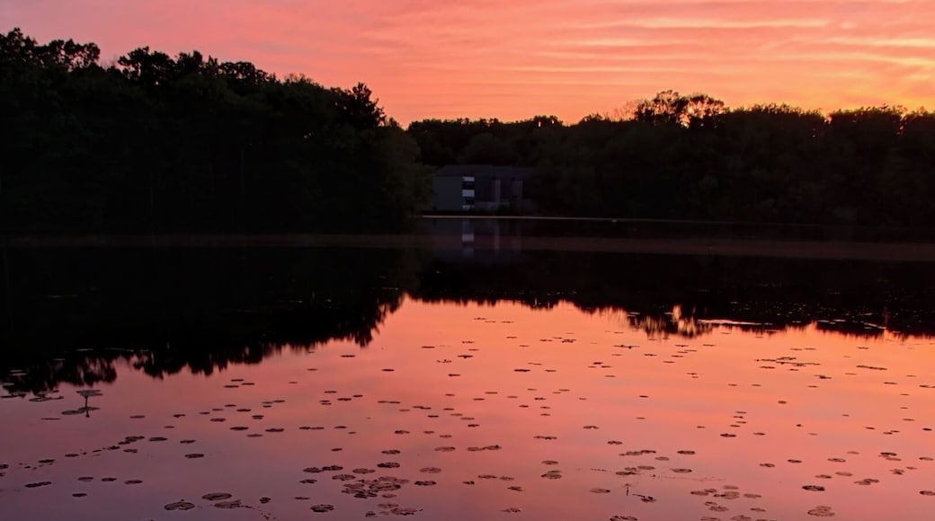 Beautiful park for walking, jogging and biking. Sunsets are often beautiful as well.