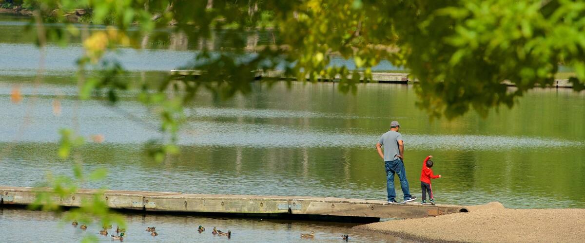 A man and a child standing on a wooden dock by a calm lake with ducks swimming in the water.
