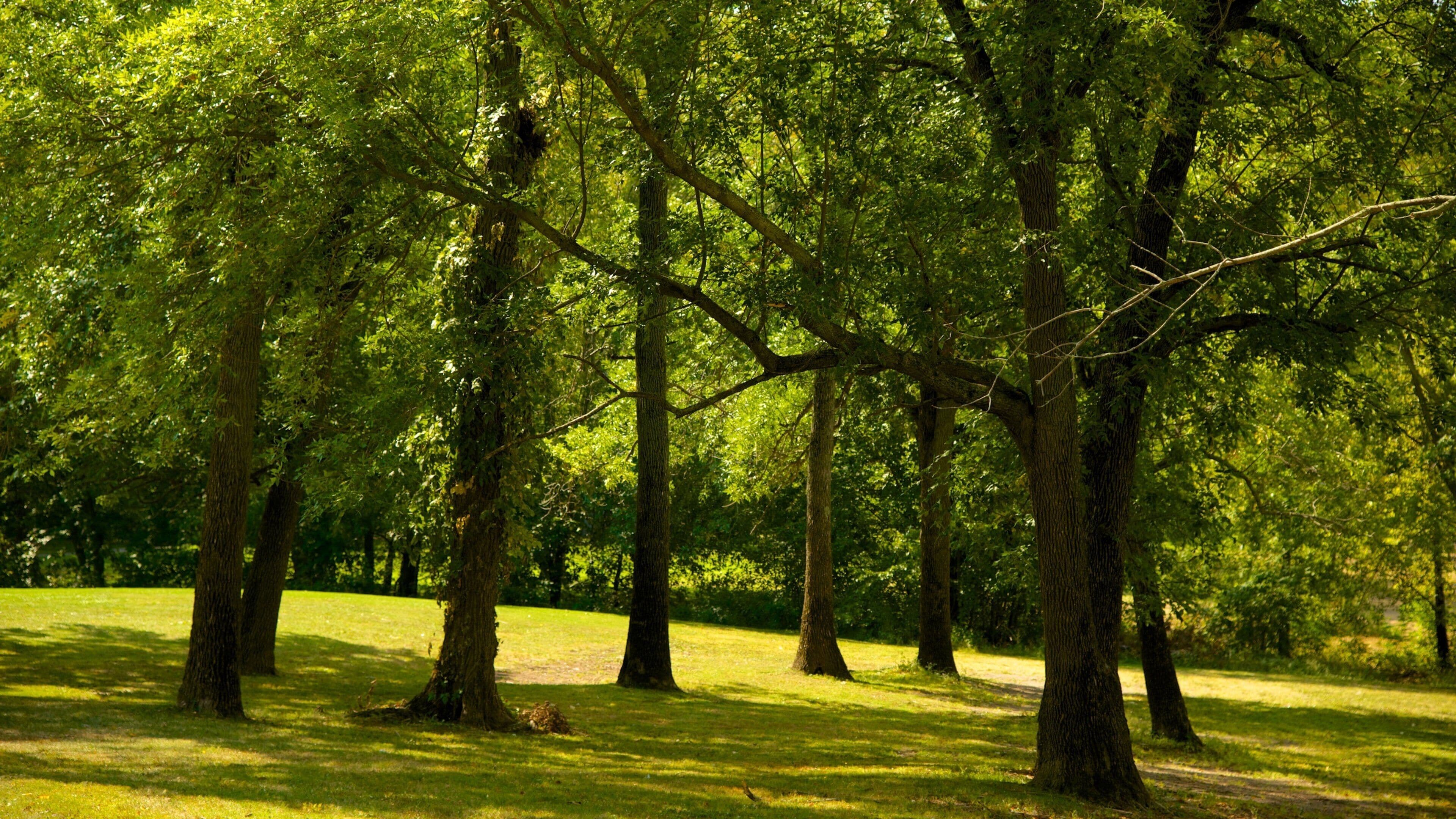 Wethersfield featuring a garden