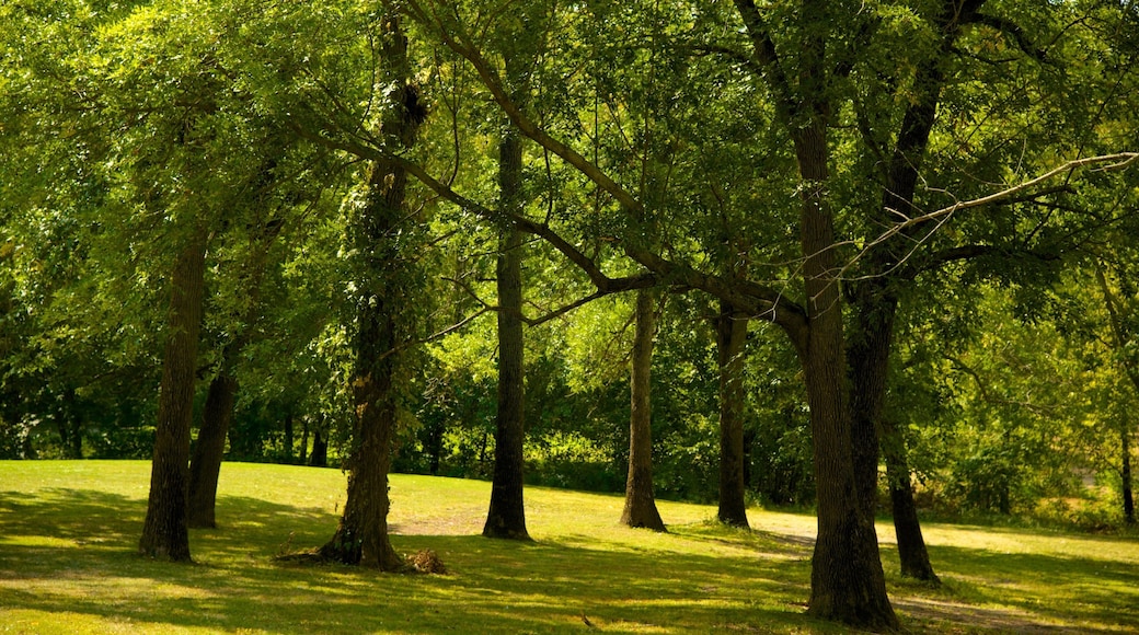 Wethersfield que incluye un parque