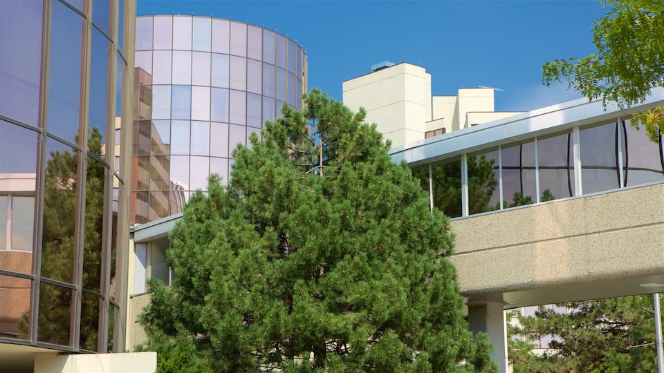 A modern building with a glass facade and a large tree in front.
