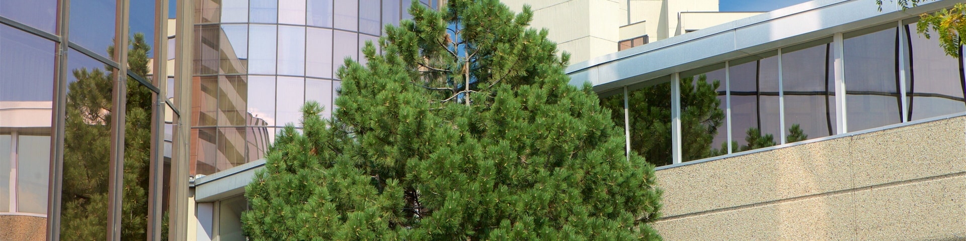 A modern building with a glass facade and a large tree in front.