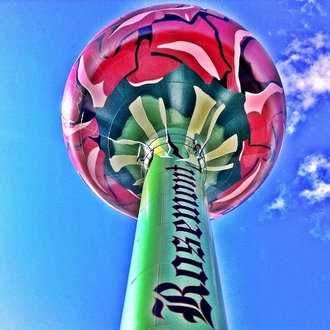 Rosemont H20