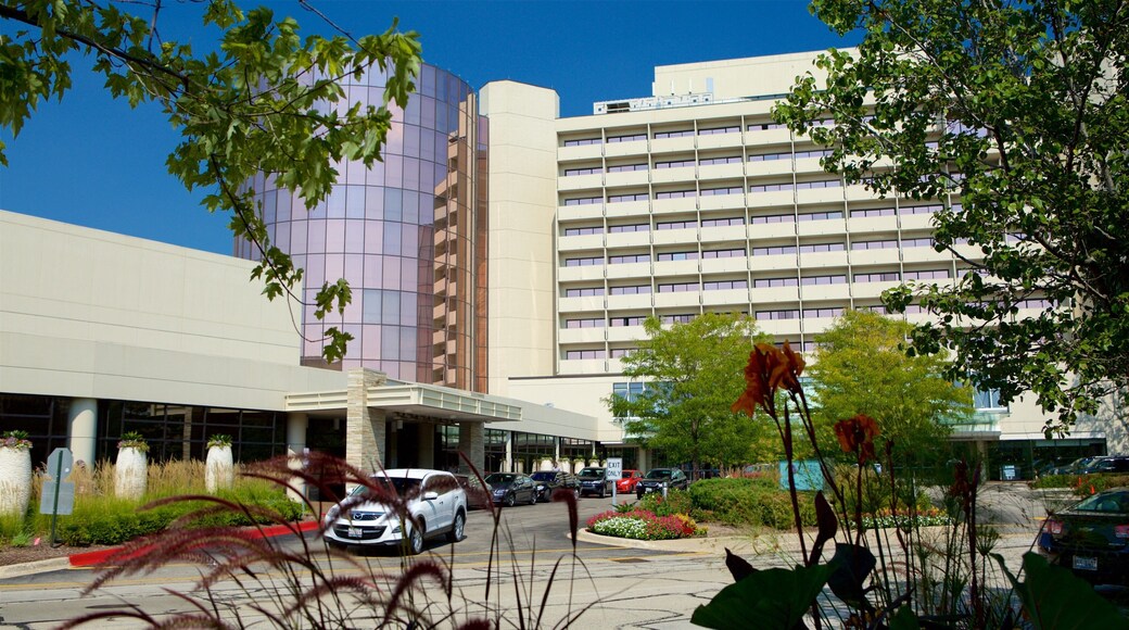 Rosemont which includes street scenes