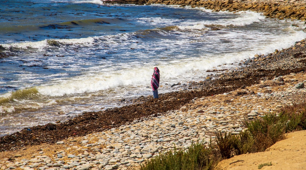 A rocky shoreline with waves crashing onto the beach, a person standing in the water, and a distant view of a rocky cliff with trees.