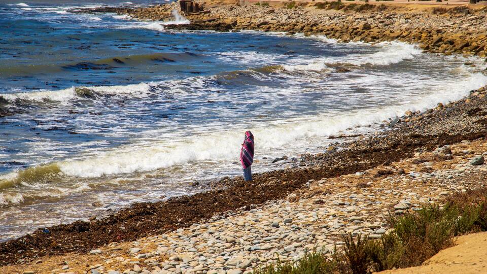 A rocky shoreline with waves crashing onto the beach, a person standing in the water, and a distant view of a rocky cliff with trees.