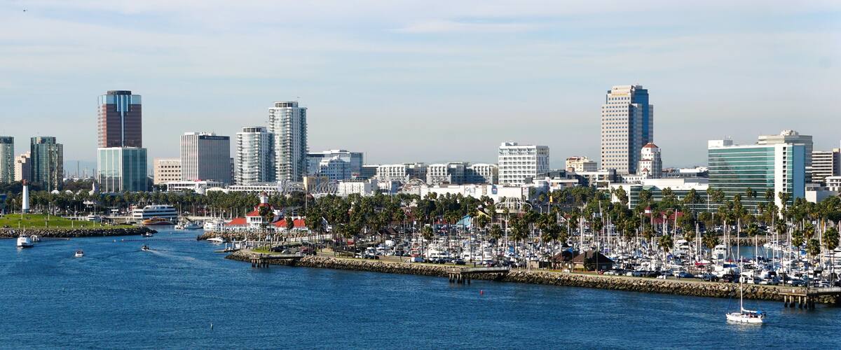 A marina with boats, a city skyline with tall buildings, and a park with palm trees.