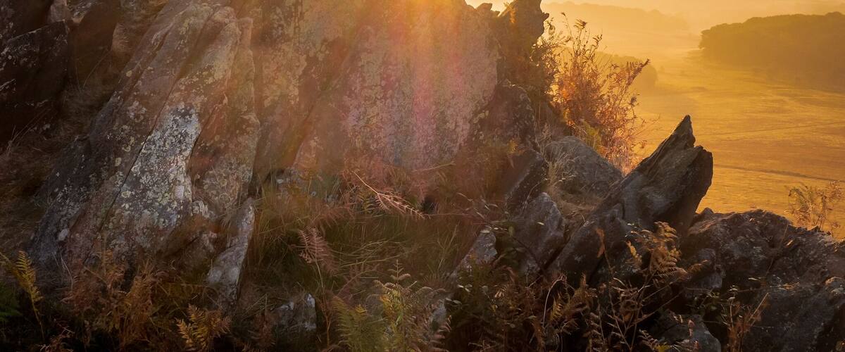 Sunrise at Bradgate Park