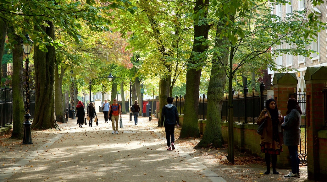 Leicester featuring a garden