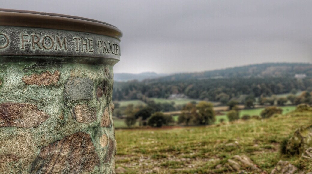 Just up by Old John at Bradgate Park.
