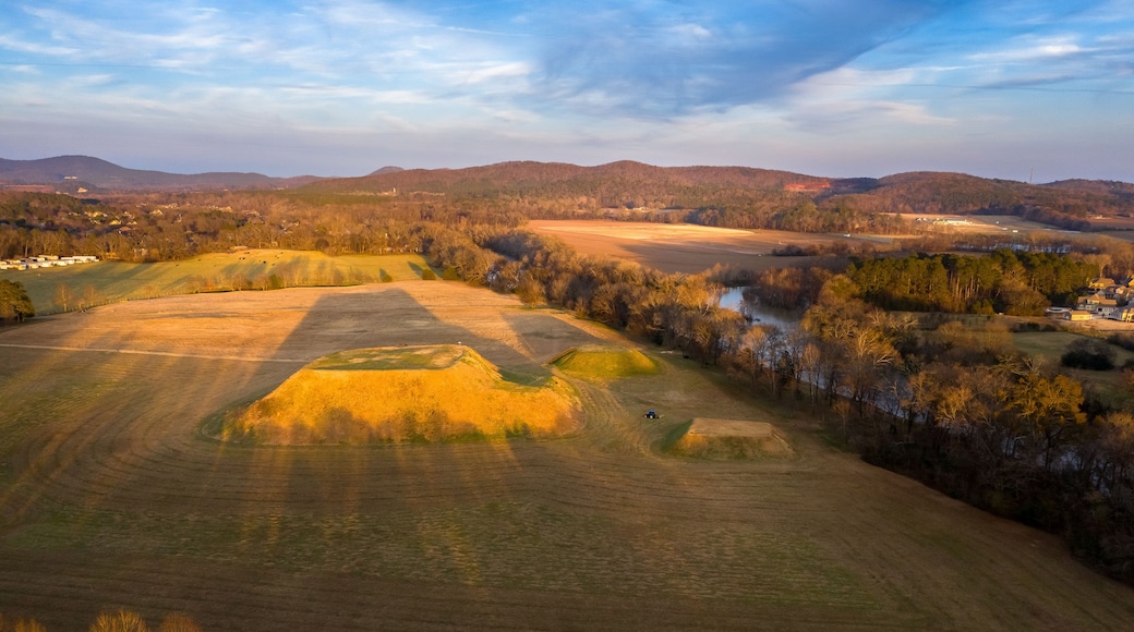 Aerial view of Etowah Indian Mounds Historic Site in Cartersville Georgia