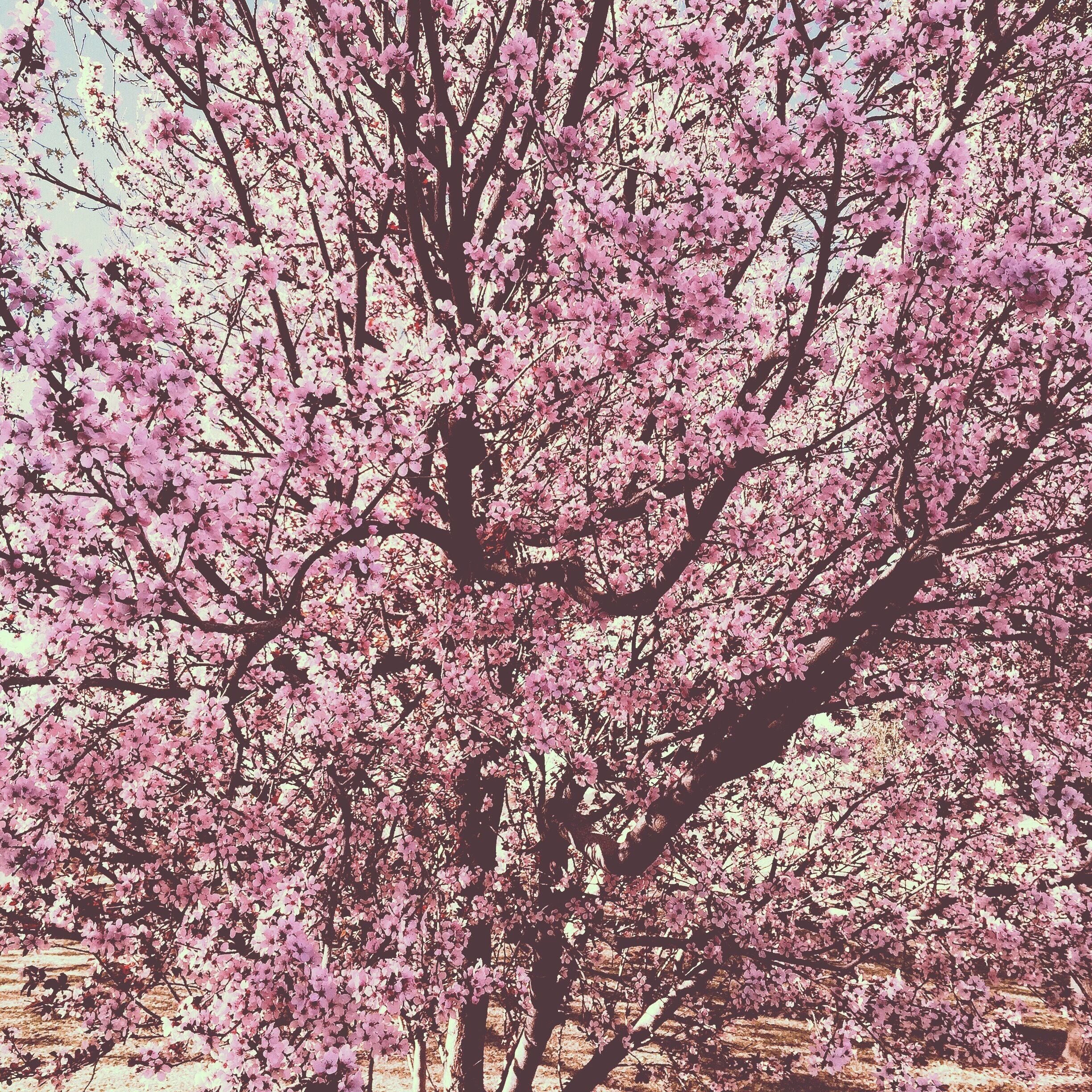 Spring is in full swing! 