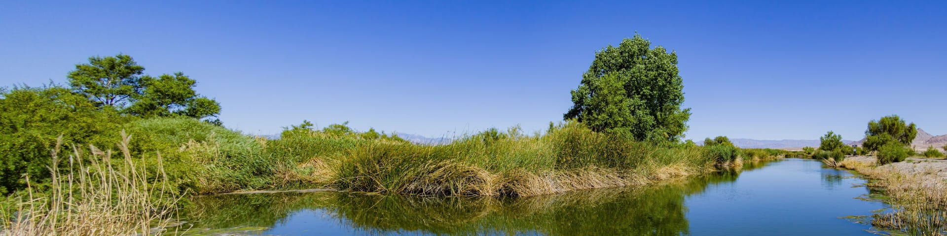 Beautiful landscape in Henderson Bird Viewing Preserve
