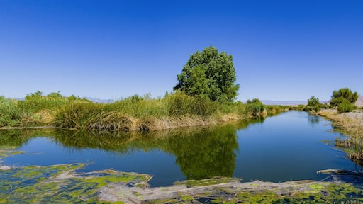 Beautiful landscape in Henderson Bird Viewing Preserve