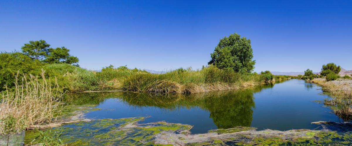 A calm river with surrounding greenery and a clear blue sky.