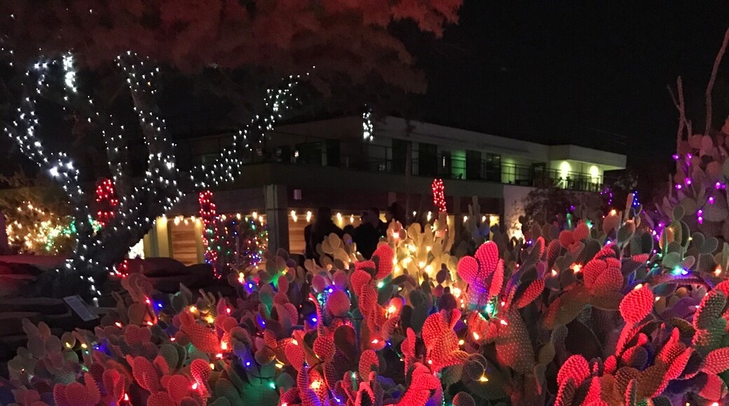 The cactus garden at Ethel M. Factory in Las Vegas decorates for the holiday season to create a desert winter wonderland.