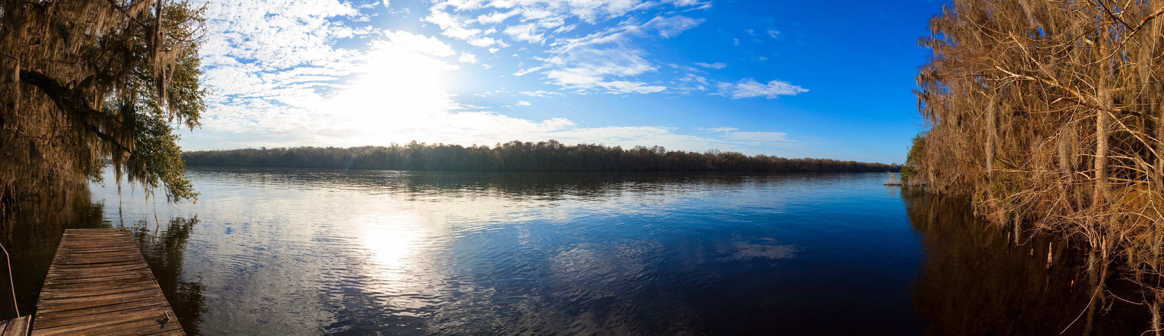 A calm lake with a wooden dock, surrounded by trees and a clear sky.