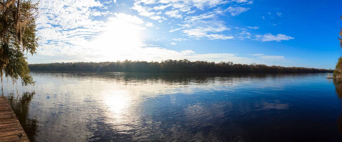 A calm lake with a wooden dock, surrounded by trees and a clear sky.