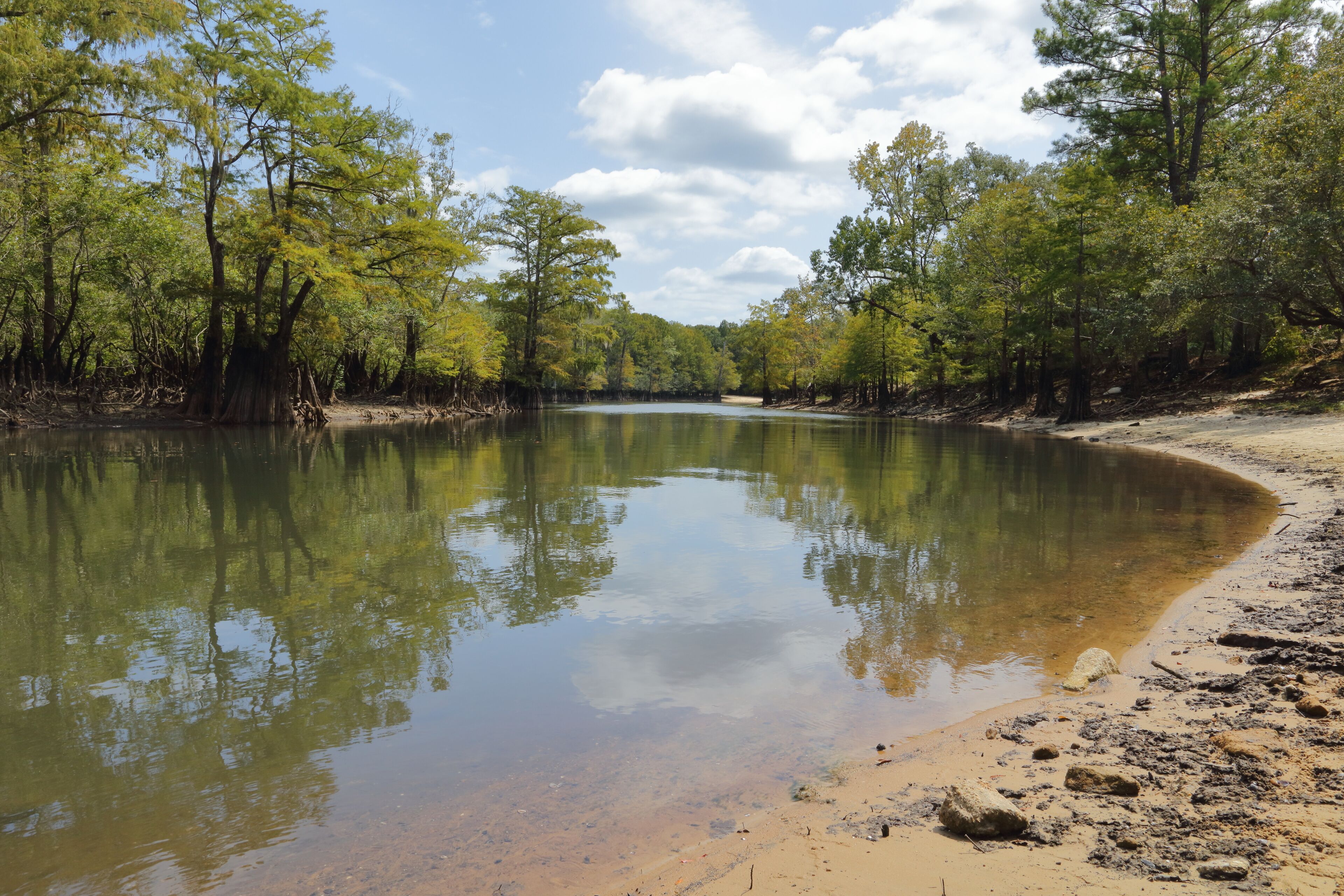 Choctawhatchee River, Florida, USA