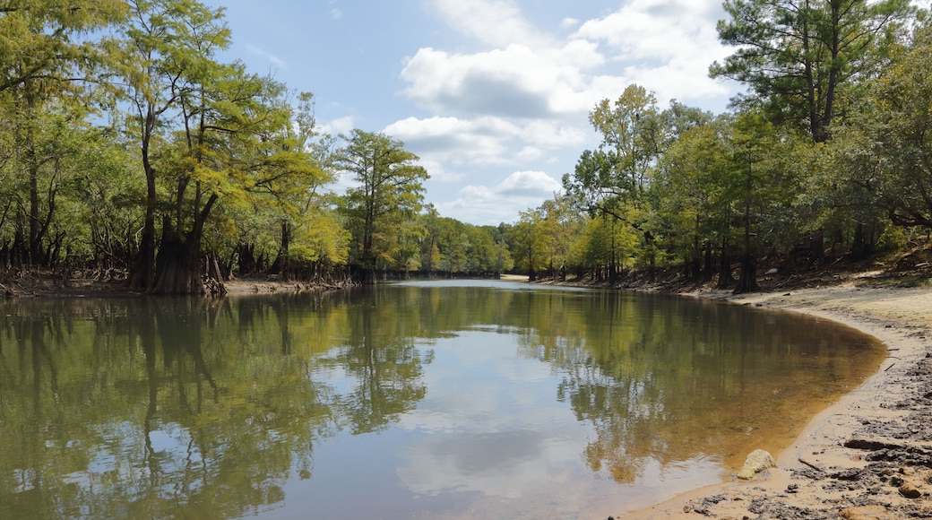 Choctawhatchee River, Florida, USA