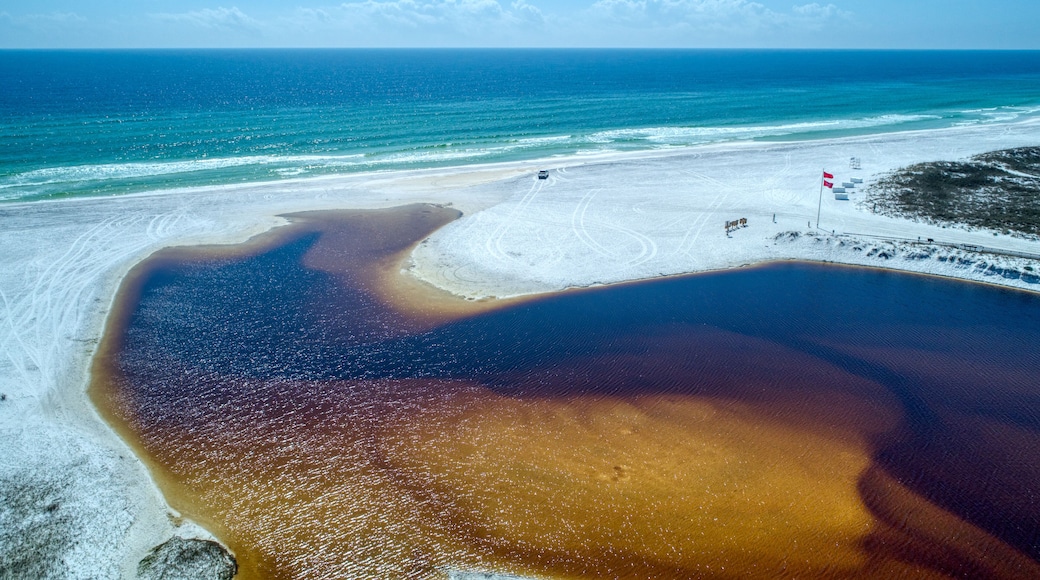 Low Altitude Aerial View of a Deserted Grayton Beach, Florida on a Beautiful Day Amid the COVID-19 Pandemic