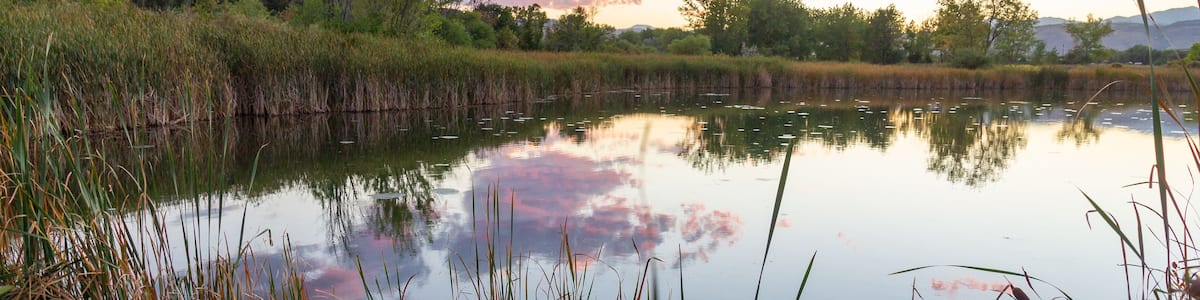 Sunset in the Wheat Ridge Green Belt, along the Clear Creek Trail, Wheat Ridge Colorado, USA.