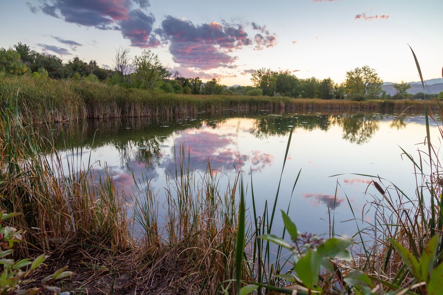 Sunset in the Wheat Ridge Green Belt, along the Clear Creek Trail, Wheat Ridge Colorado, USA.