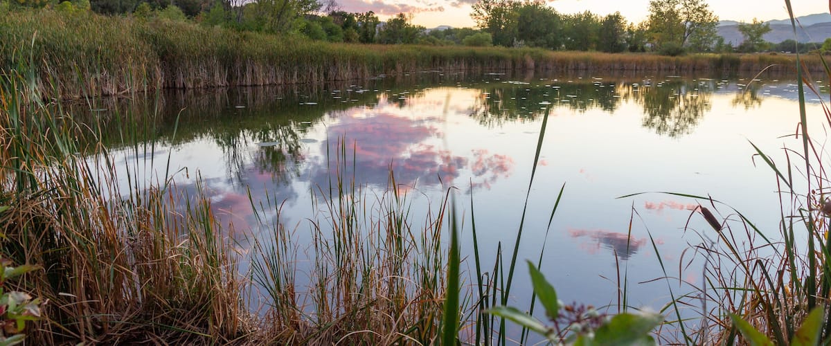 Sunset in the Wheat Ridge Green Belt, along the Clear Creek Trail, Wheat Ridge Colorado, USA.