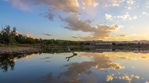 Sunset in the Wheat Ridge Green Belt, along the Clear Creek Trail, Wheat Ridge Colorado, USA.