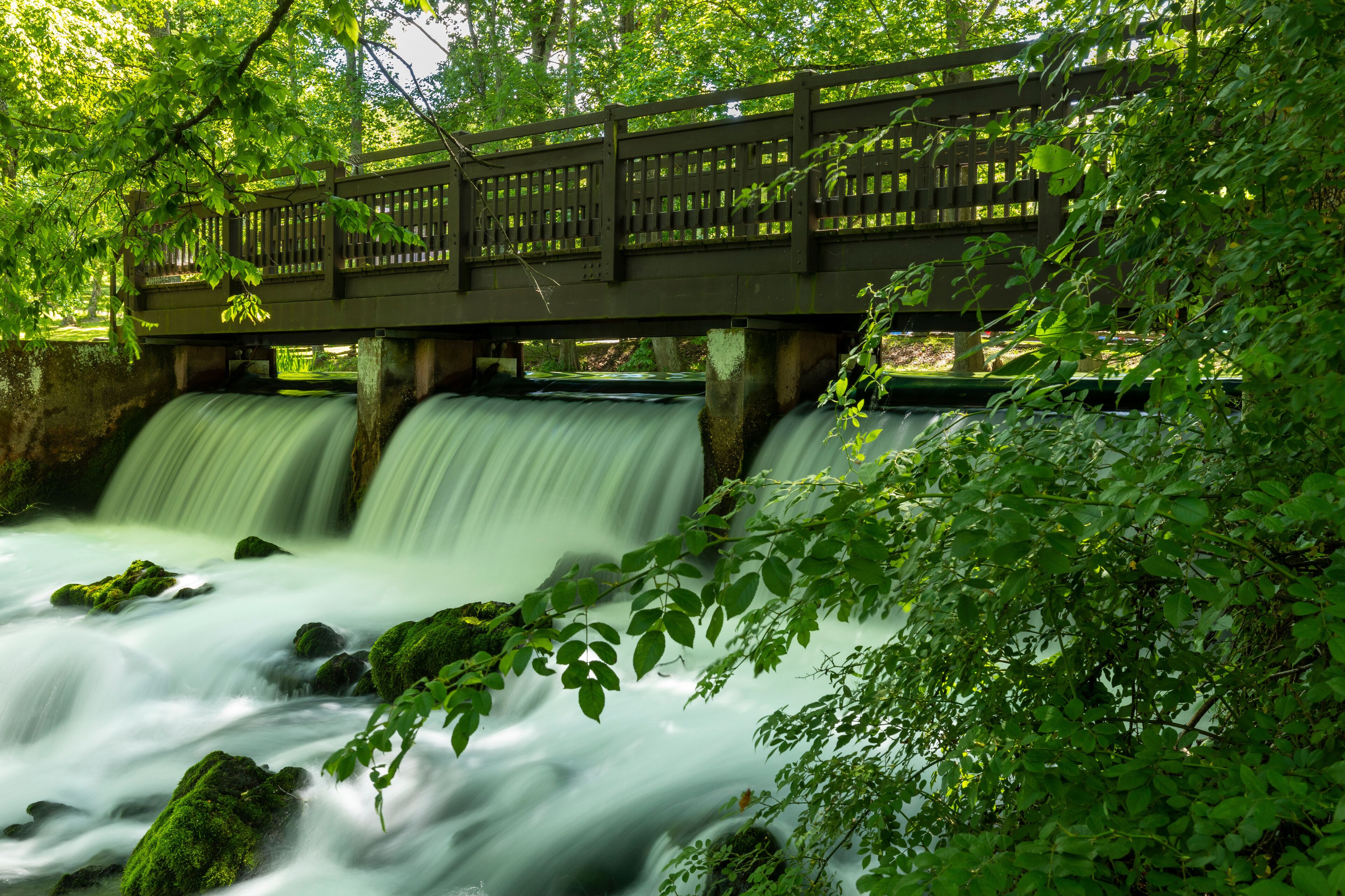 Footbridge and Dam In The Woods