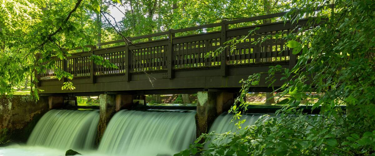 Footbridge and Dam In The Woods