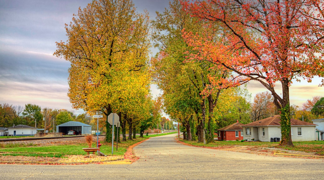 A suburban street lined with autumn-colored trees, a railroad crossing, and residential houses.