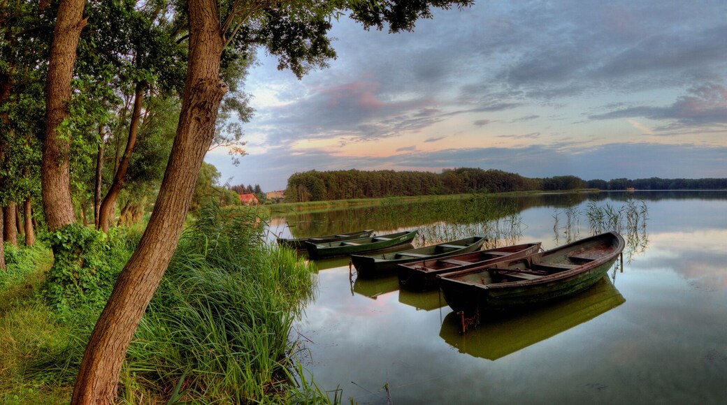 Een rustige rivier met aan de linkerkant aangemeerde boten, omringd door bomen en een bewolkte lucht.