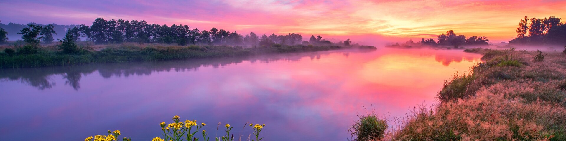 A calm river reflecting a colorful sunset sky, surrounded by dense trees and yellow wildflowers.