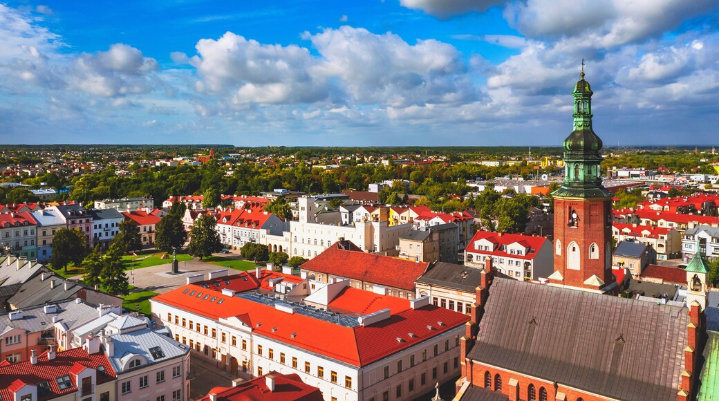A town with red-roofed buildings, a prominent church with a green spire, and a large open square.