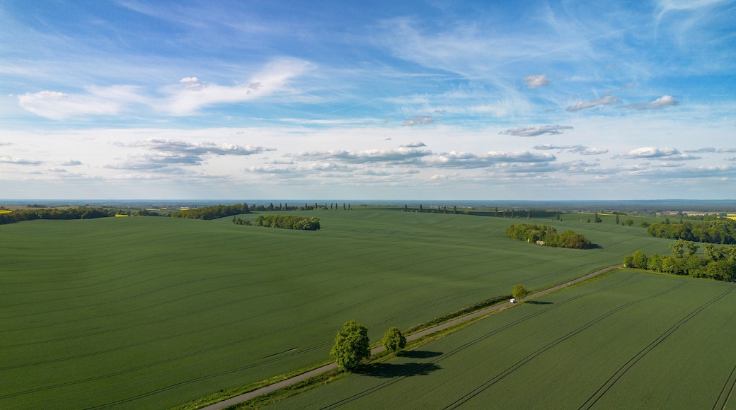 Condado de Trzebnica