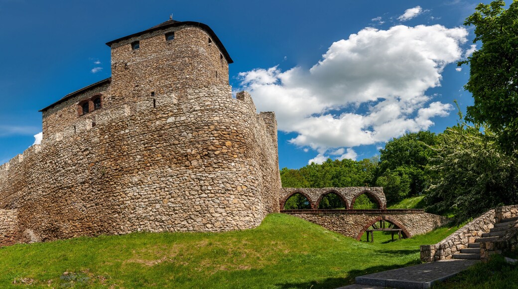 Szlak Orlich Gniazd - zamek w Będzinie