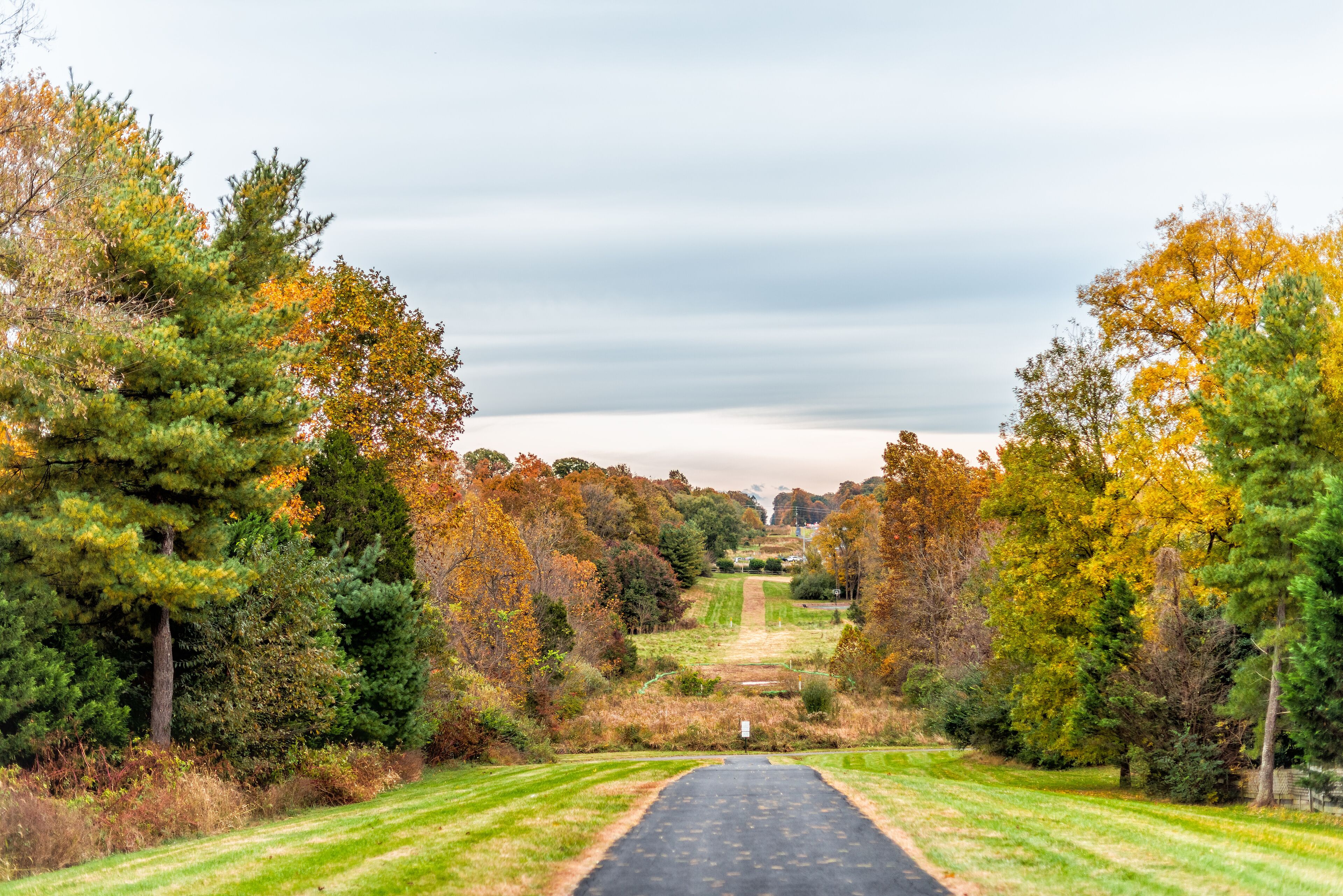Sugarland Run Stream Valley Trail hike in Herndon, Northern Virginia Fairfax county residential neighborhood in autumn with foliage paved path road and nobody
